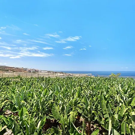 La Calabacera Roja